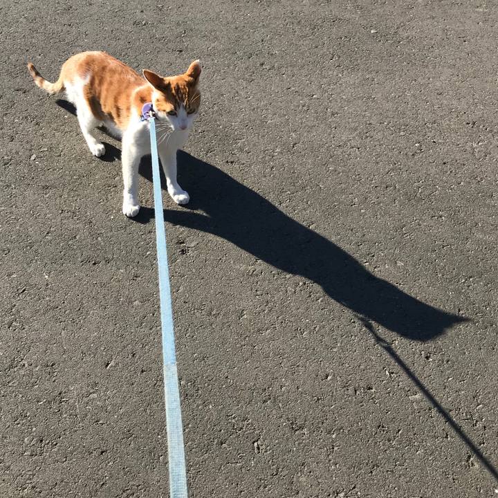 Db7cfc16 aed1 47da adac 64c47d1ee338 1518067853521