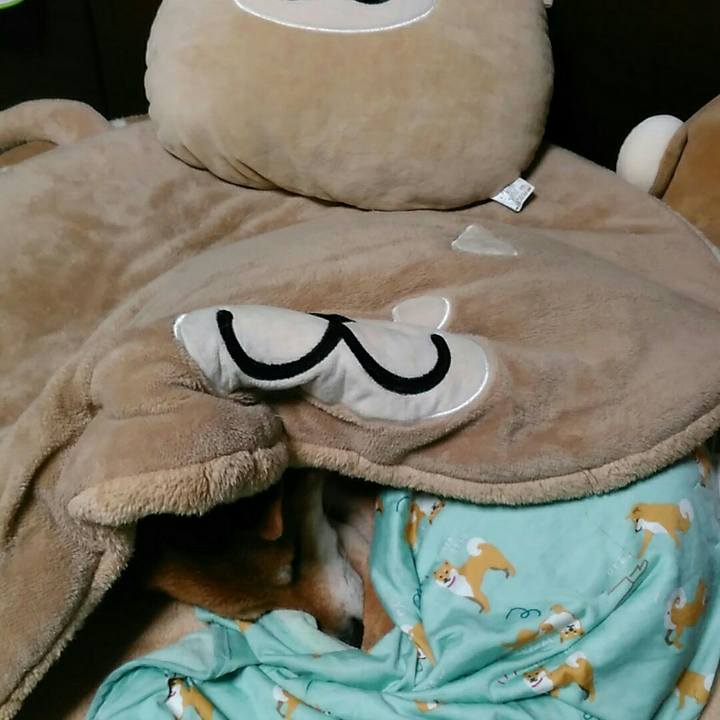 Db7d1bb1 4d15 4921 a8be 8ae4f2cd735f 1536413779413