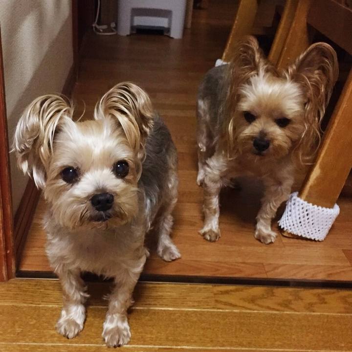 Db7d4a2d b815 4f1a 9ace f63206c3dd54 1537003736347