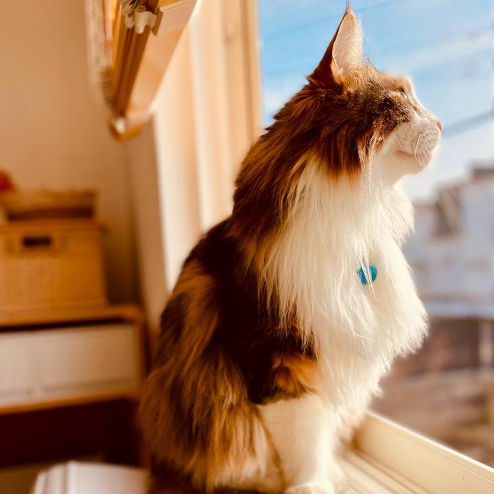 Db7d5235 5cf8 4ab0 bade a8bc8f7e6e17 1708409452846