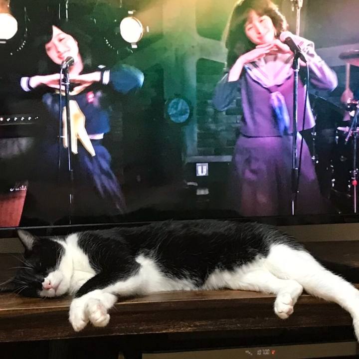 Db7d5599 4b99 4d87 8f52 2c8b00a97a06 1598776320695