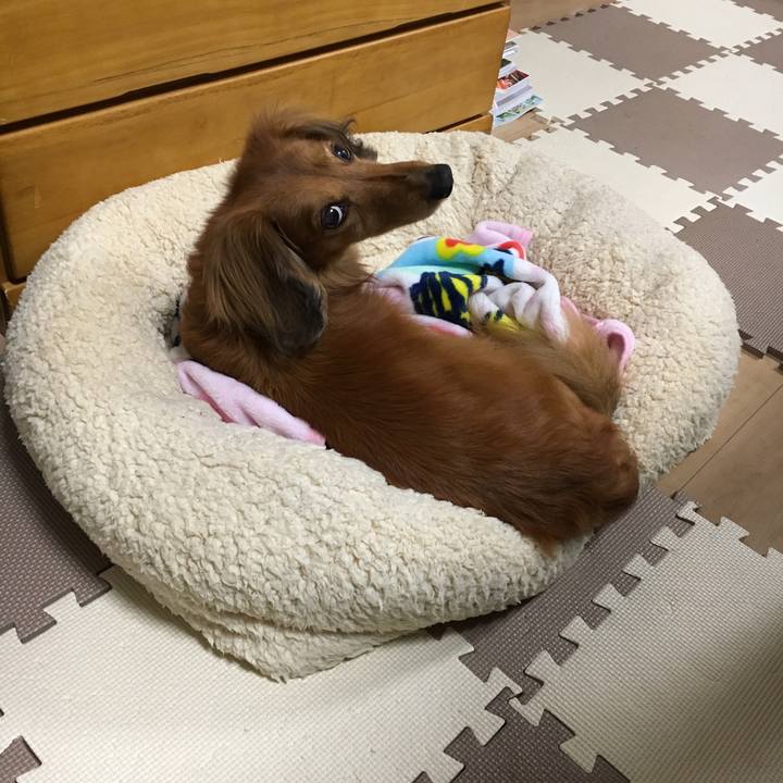 Db7d6b93 1109 4d86 9f59 f3efc41cabb6 1555850917718