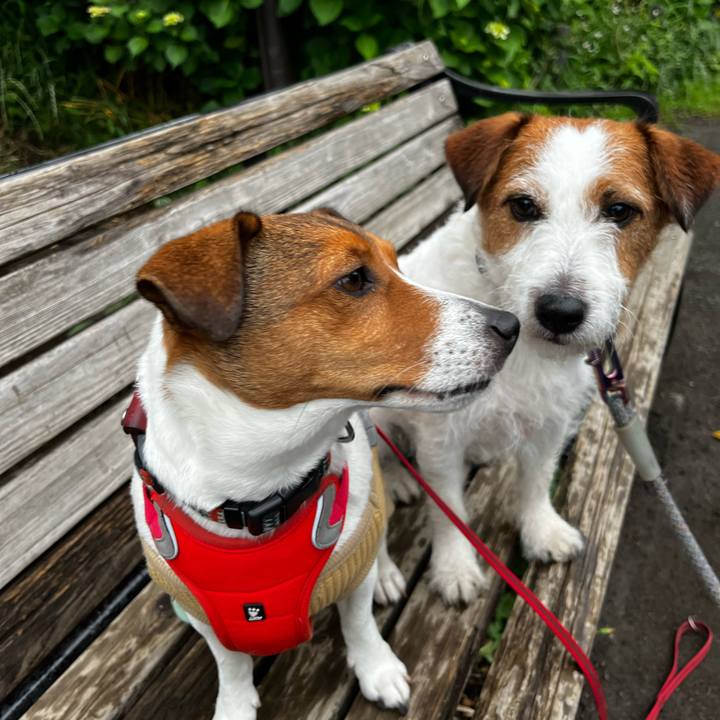 Db7d80a8 1109 44d4 b19f 4535eb23459e 1748784286867