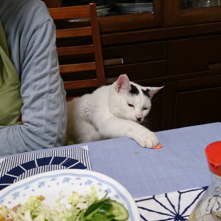 Db7db551 8244 4ef5 92ce b88a30b3a4b4 1619965206090