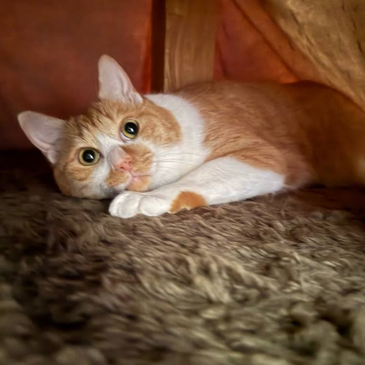 Db7db6d2 33bb 41a2 8eab 75890689cd64 1765197856564