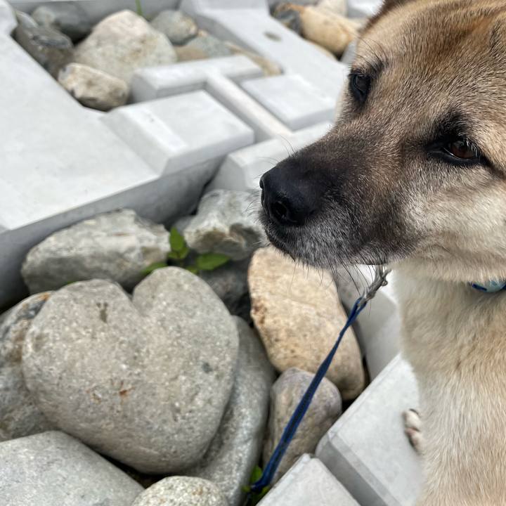 Db7db7af 2269 49ed 8a46 bb08fcbf73fc 1687677611240