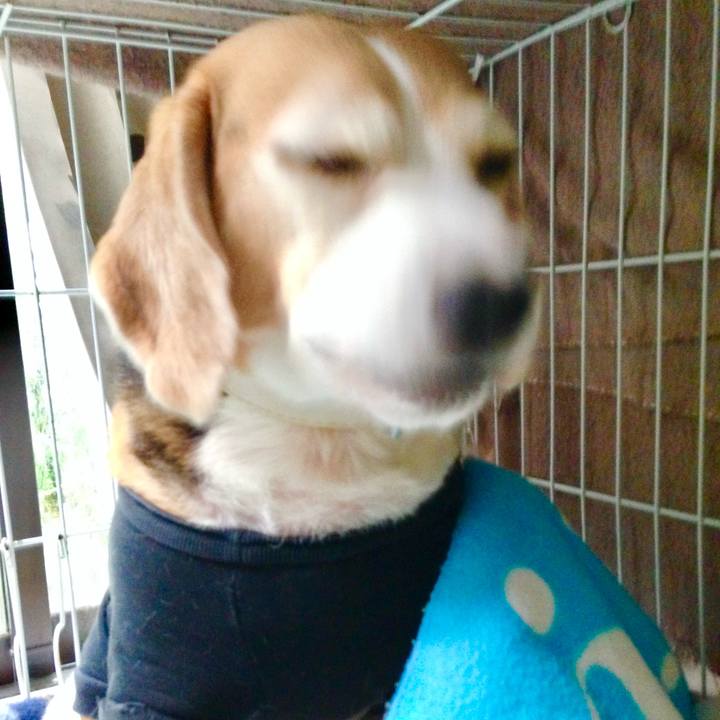 Db7dc9db 5a96 4b85 9d2a 9a0e51b709a8 1758770628247