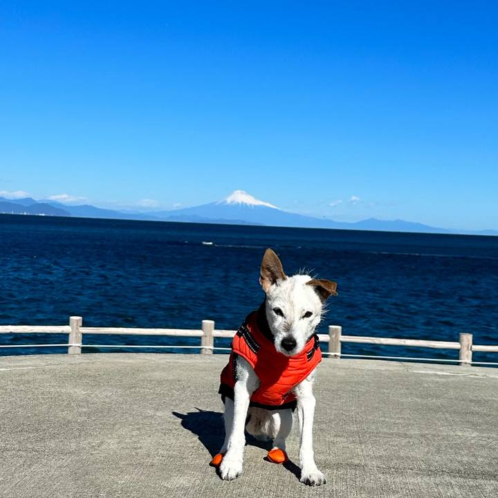 Db7de471 91bd 4fee b338 4647b1a9ce19 1672474334711