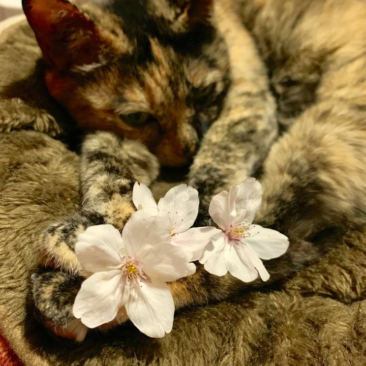 Db7e23d7 f996 4402 919a 39ab1b60a160 1559677799306