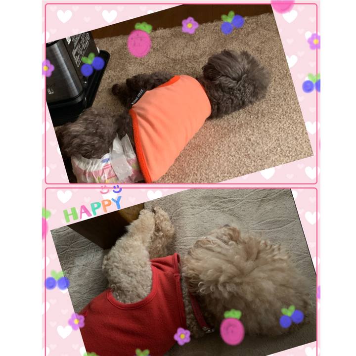 Db7e3711 6606 4f4b 87f9 e683f1db0e89 1579764545122