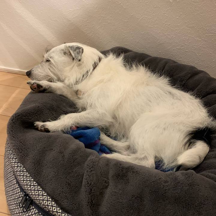 Db7e3a63 1de9 4999 9c2f b5f568333194 1649758025132