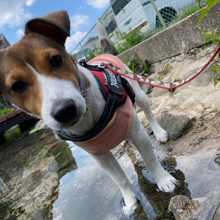 Db7e62d9 2c7b 42d7 834a baf76937a8ee 1680785879816