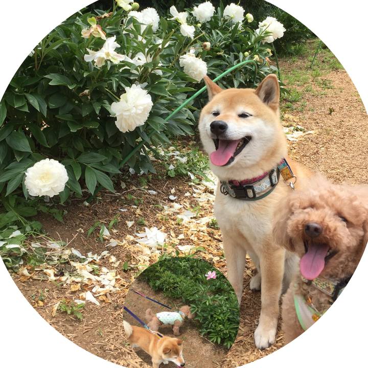 Db7f2c74 c723 4dff 8506 47305514c8fe 1526883690276