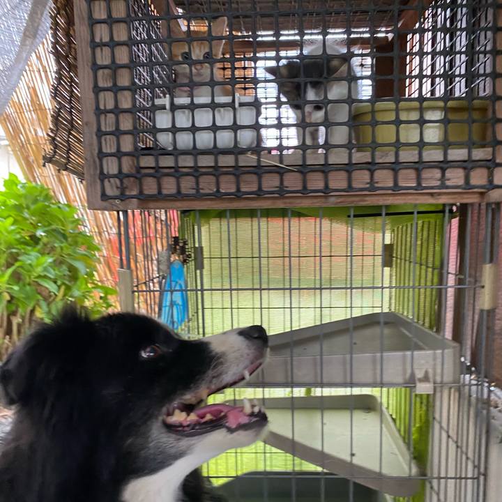 Db7f839b bfa3 41bb aa0e cc2ecc4ac9eb 1629423563163