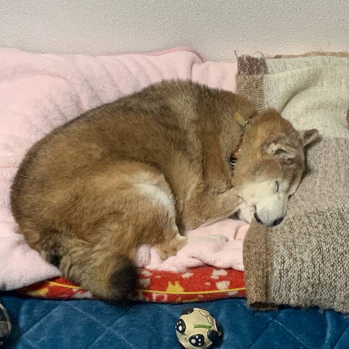 Db7fd13b e70d 431d aa61 f49678dc4476 1675694287290