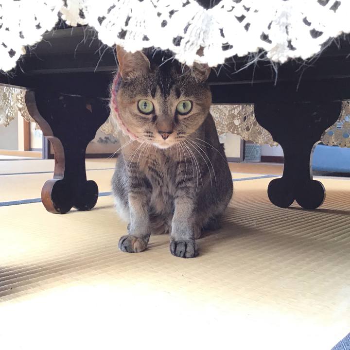 Db7fe0d2 1181 4b98 a14a 8b5c7268411e 1620866367359