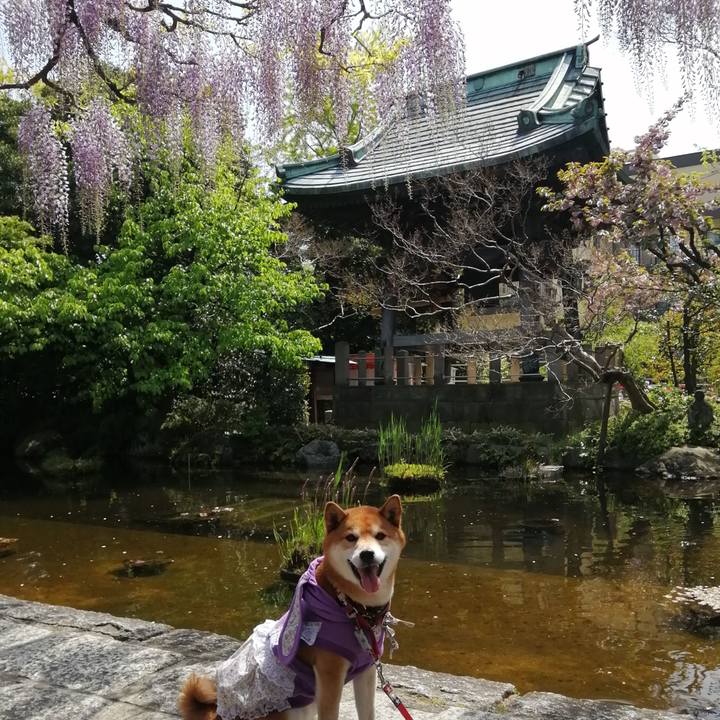 Db7ff10b 5733 420e 8765 f1beeb15e31a 1681211489549