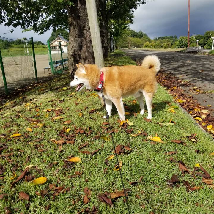 Db802bf0 3618 47bc bf97 2424c12bd994 1726981431245