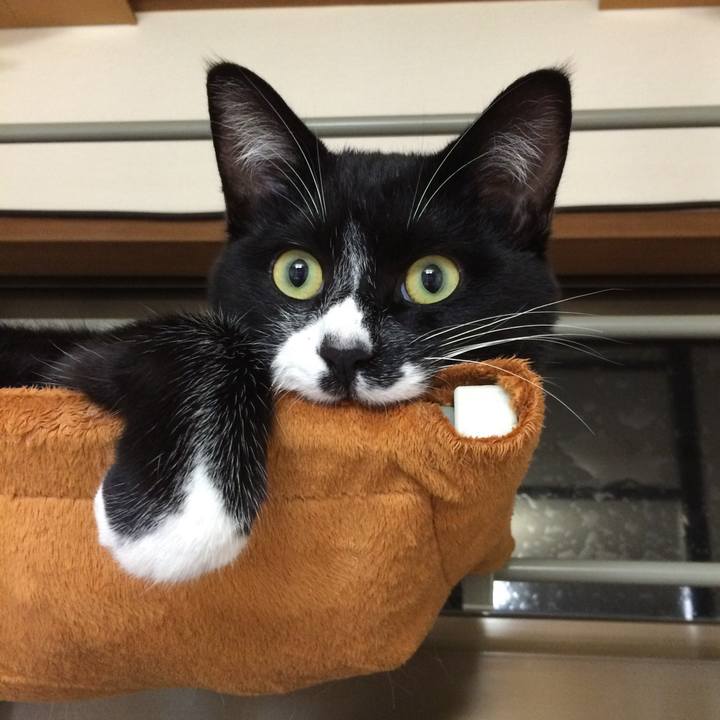 Db80605b 27c1 4711 9f3b 172e89373a79 1510890272598