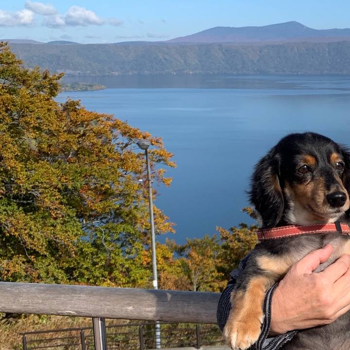 Db80965d b07c 4d15 9f65 7b7a8e6d9c7b 1571617046187