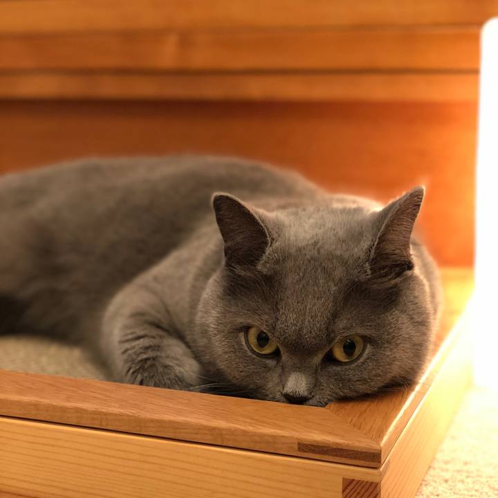 Db80e870 1cd4 44d2 b370 71296fe9b105 1520866938211