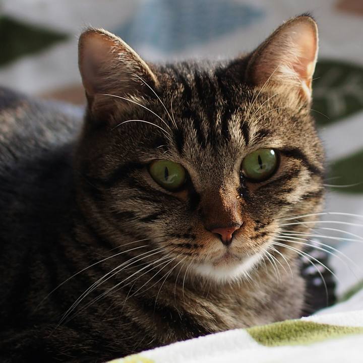 Db819838 67f6 4fb6 89a3 a02198abafb5 1541633340896