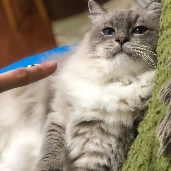 Db819eaf b5a4 47c7 bb16 2e2806b6f381 1573740562012