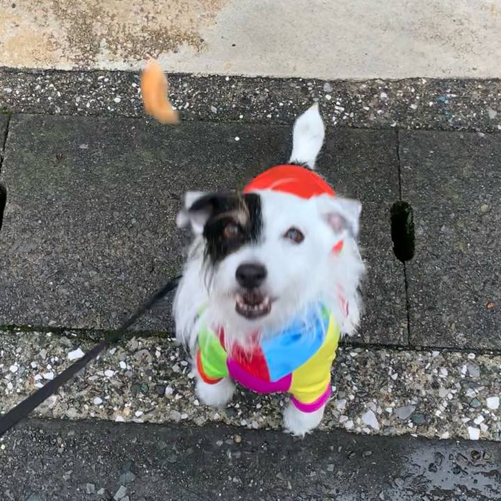 Db81a590 c3b4 4ebd aaba 1aecf817b02f 1658795437454