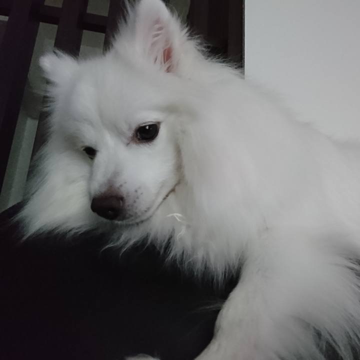 Db81c648 21d9 4042 aa8d 99d8c4b4985f 1589964334351