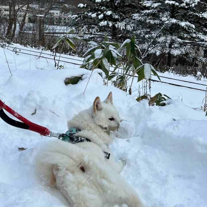 Db81e17f 1291 4cda 9867 5d9dca648dea 1700955234853