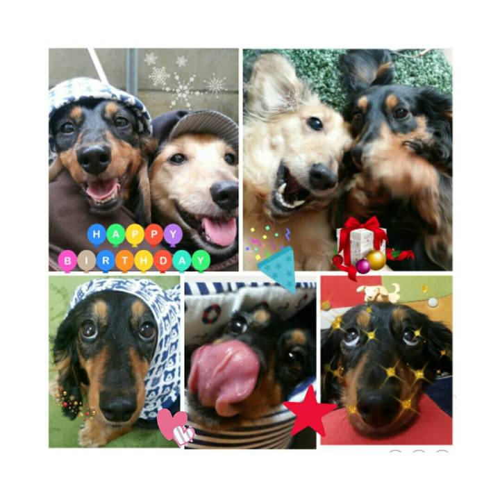 Db81f458 923f 4f02 a538 ea5dbde13d62 1513507669511