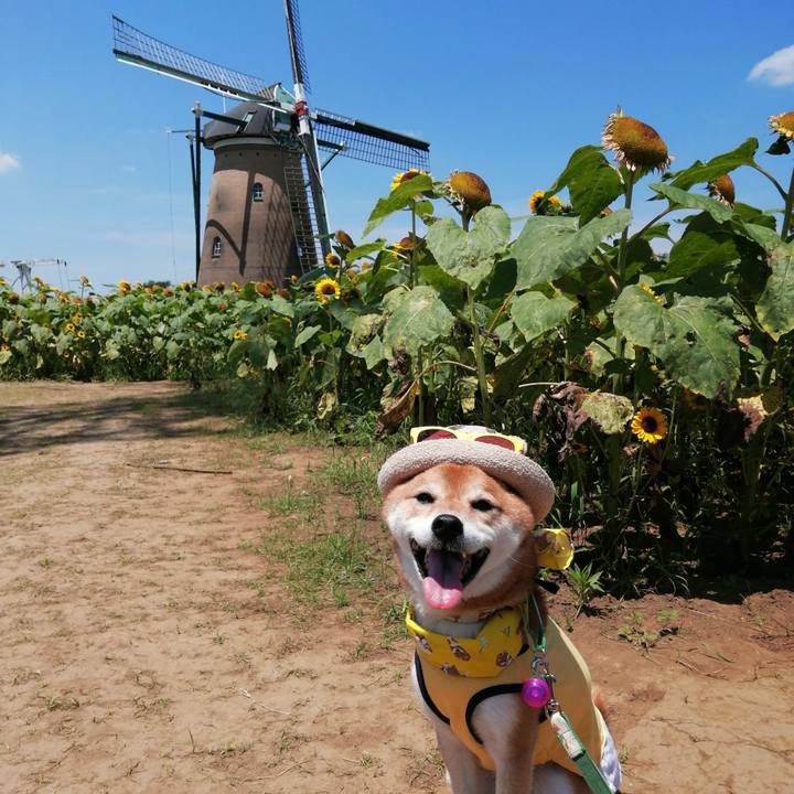 Db823416 6652 416d 8f1b 9d21f7835846 1626864345567