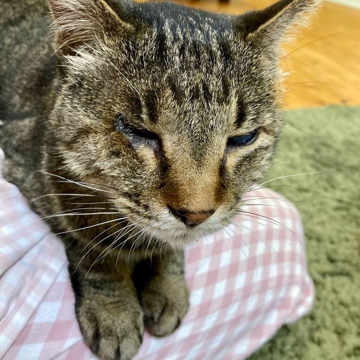 Db823c97 288e 4b89 a9f2 40b5a347ae18 1651746422861