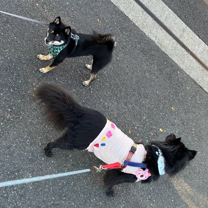 Db828466 99fb 473d bfb3 18a88c1a6ef4 1757290589845