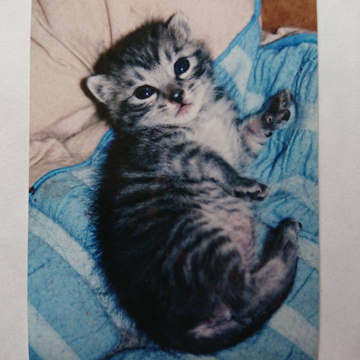 Db82c02f 38fc 4971 b8dd 4677fe3e1c13 1600114696900