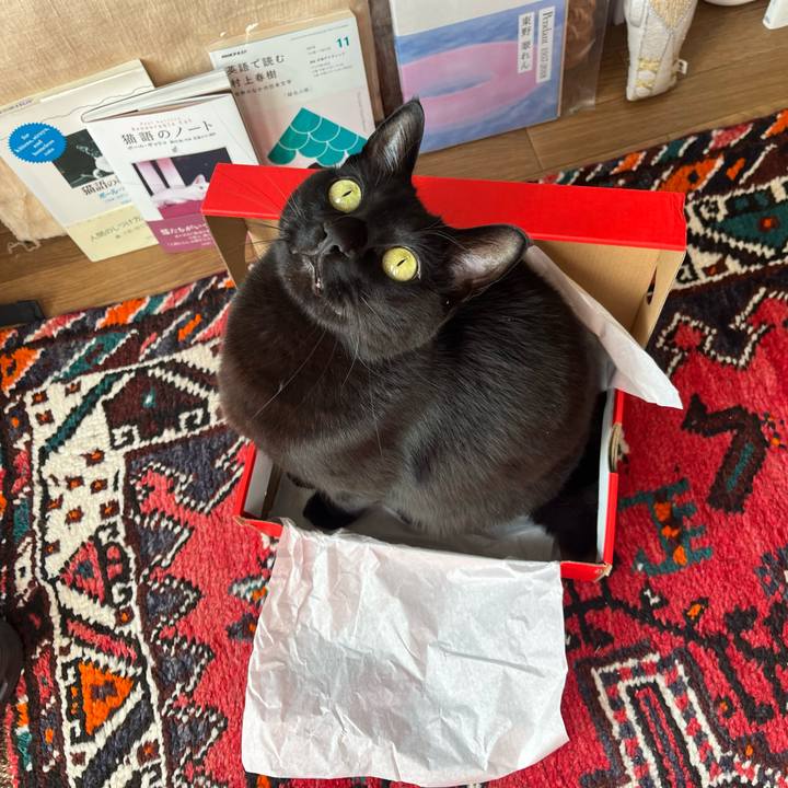 Db831b98 2600 4b1d 89b1 7cfbd0db0906 1709079452323