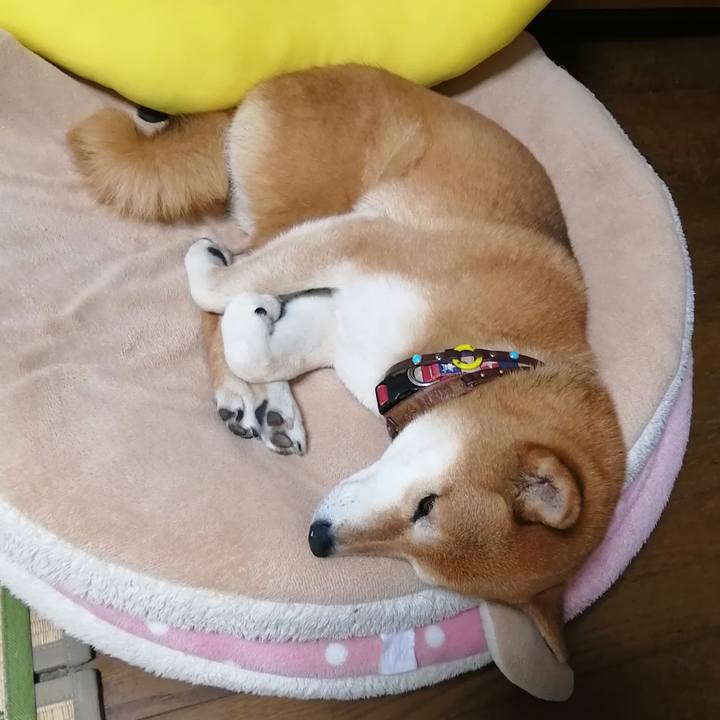 Db835e94 60fb 4fc0 8f04 2c970c1a3138 1683446528649