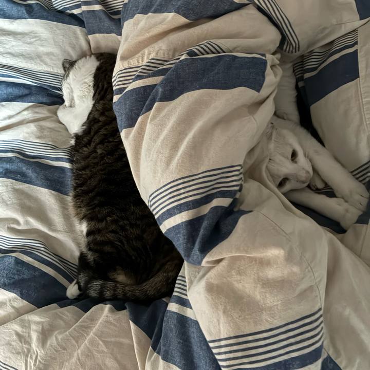 Db838091 4191 44f6 a663 b02c1f7525a2 1765862949944