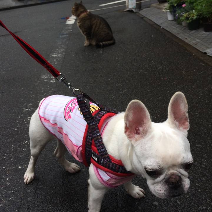 Db83c957 c5ad 469c 9533 b37a7a23f158 1529812071722