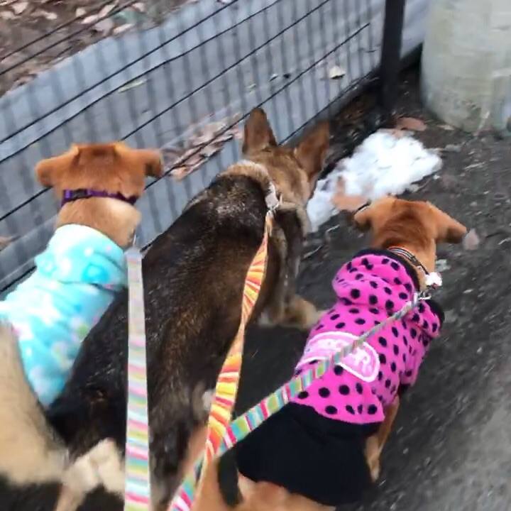 Db83cac7 5df6 46cf 9367 7ed4e68c7bfd 1517876981176