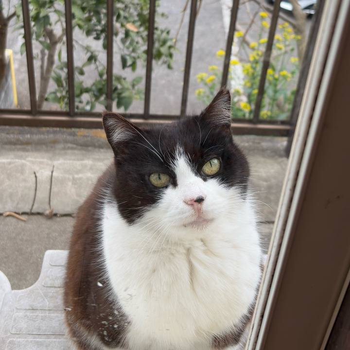 Db83f14b 310e 4bac 9960 8fe4f59f4237 1774916269135