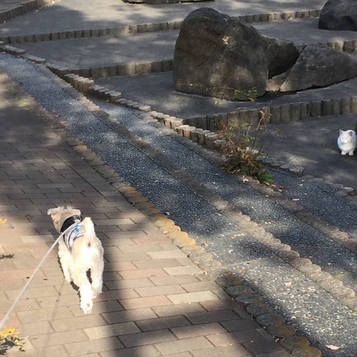 Db847b14 8625 4f61 9d22 4d08c21127e2 1542351041390