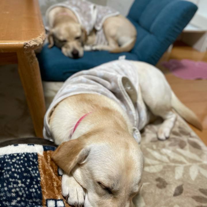 Db8509db 45bc 4b4c 816d c8caaa4383d1 1634792866883