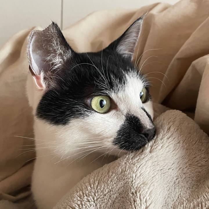 Db850ef1 1174 4eb6 b2ac f0d4121a8062 1770783103886