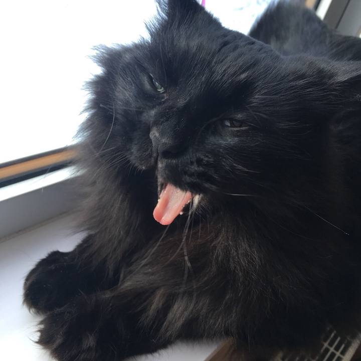 Db851a17 bd14 4f01 b184 0da1573667cb 1544511747130