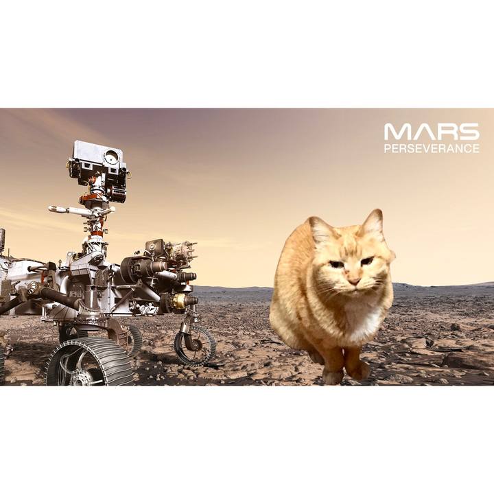 Db853216 ffa0 4d7b 8d9b ee965242397a 1614298105231