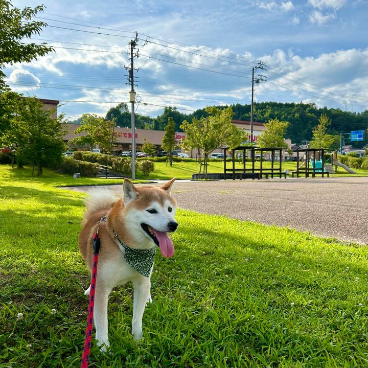 Db857ac8 748e 4ea7 9c68 970ccd0daf57 1722254124681