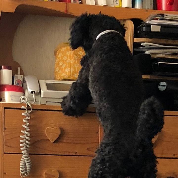 Db858b42 0bd5 42a9 826e bf2715ebfdac 1537224827747