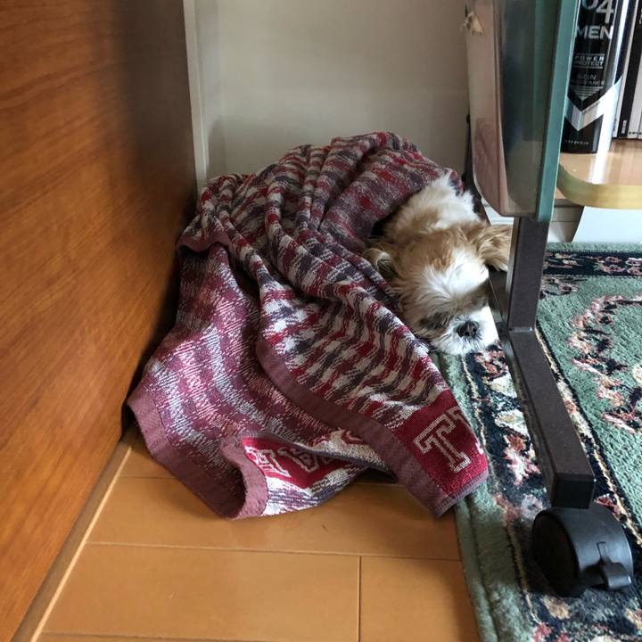 Db8594d1 9698 4243 894d 127da4de7df7 1529106862943