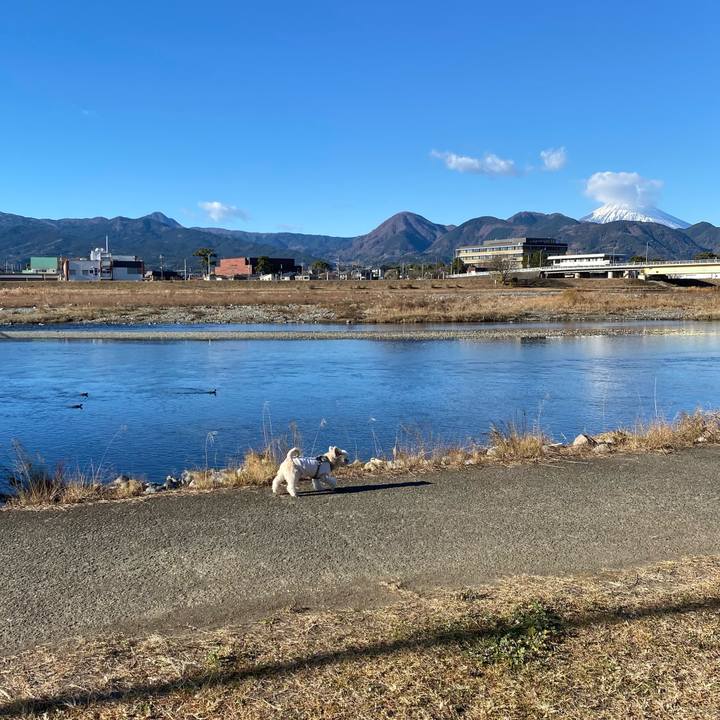 Db85a0d2 b014 49ea af32 2d0b5d6fe5ca 1734832694634